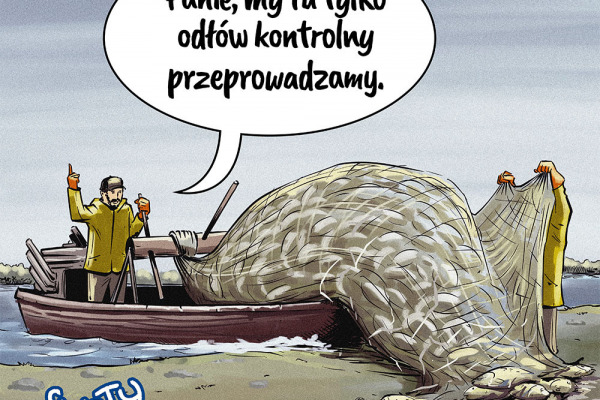 fikoty_0005