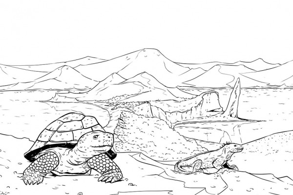 galapagos